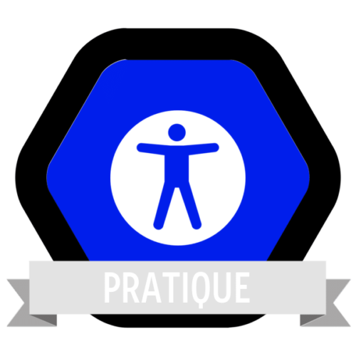 Image du Badge "Accessibility (1872)" fourni par The Noun Project sous Creative Commons CC0 - No Rights Reserved